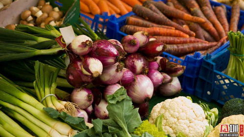 深圳税务主动对接农产品企业 护航春节“菜篮子”食用农产品零售